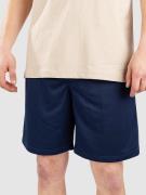 Blue Tomato Mesh Shorts blå