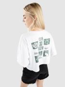 Vans Preference Relax Crop T-shirt hvid