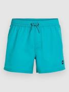 O'Neill Jack Vert Retro 14'' Boardshorts blå