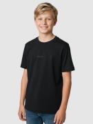 Blue Tomato Mini Logo Kids T-shirt grå