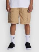 DC Tundra Cargo Shorts