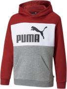 Puma Essentials+ Colourblock Hættetrøje Unisex Tøj Rød 92