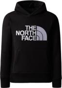 The North Face Drew Peak Hættetrøje Drenge Tøj Sort 110120/xs