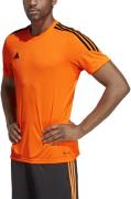 Adidas Tiro 23 Club Trænings Tshirt Herrer Tøj Orange M