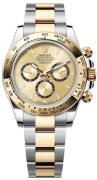 Rolex Herreur 126503-0004 Cosmograph Daytona Guldfarvet/Stål Ø40 mm