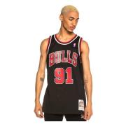 Chicago Bulls Dennis Rodman Swingman Jersey