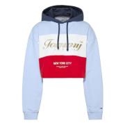 Arkiv Farveblokeret Beskåret Hoody Hoodie