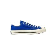 Royal Blue Low Top Casual Sko