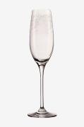 Champagneglas CHATEAU 6-pak