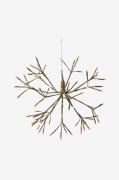 Star Trading - Udendørsdekoration Firework 40 cm - Guld - Julebelysnin...