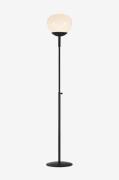 Markslöjd - Gulvlampe RISE 1L - Sort - Gulvlamper - - Homeroom