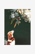 Malerifabrikken - Poster Pet Couture 1 - Flerfarvet - Posters - - Home...