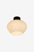 Aneta Lighting - Plafond Bell - Sort - Plafonder - - Homeroom