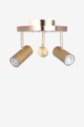 Globen Lighting - Plafond Hubble 3 - Messing - Plafonder - - Homeroom