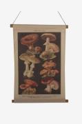 NORDFORM - Vægophæng Svamp - Natur - Posters & billeder - - Homeroom