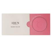 IDUN Minerals Rouge Hallon 5g