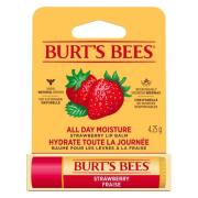 Burts Bees Lip Balm Strawberry Blister 4,25 g