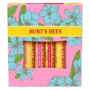 Burts Bees Lip Balm 4 Pack In Full Bloom