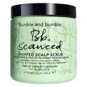 Bumble and bumble Bb. Seaweed Scalp Scrub 200ml