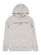 TOMMY HILFIGER Sweatshirt  natblå / grå-meleret / lys rød / hvid