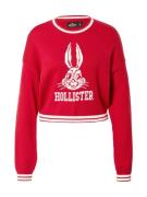 HOLLISTER Pullover  rød / hvid