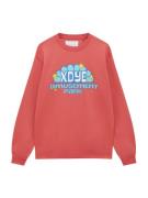Pull&Bear Sweatshirt  blandingsfarvet / melon
