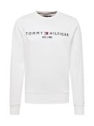 TOMMY HILFIGER Sweatshirt  navy / rød / hvid