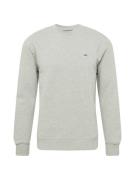 Lee Sweatshirt 'PLAIN CREW SWS'  grå