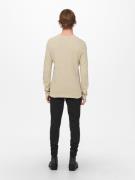 Only & Sons Pullover 'Panter'  beige