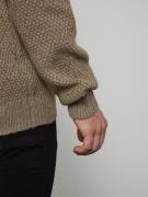 DAN FOX APPAREL Pullover 'Dylan'  brun / taupe