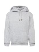 ABOUT YOU Sweatshirt 'Bent'  grå-meleret