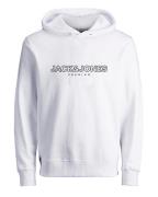 JACK & JONES Sweatshirt 'JASON'  sort / hvid
