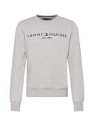 TOMMY HILFIGER Sweatshirt  navy / grå-meleret / rød / hvid