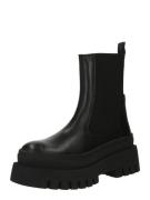 STEVE MADDEN Chelsea Boots 'CASSANDRA'  sort