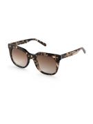 Kapten & Son Solbriller 'Florence Crystal Tortoise Brown'  beige / mør...