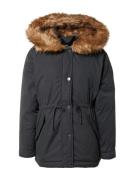 HOLLISTER Vinterparka 'EMEA'  brun / sort