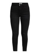 Dorothy Perkins Petite Jeans 'Darcy'  sort