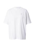 Calvin Klein Jeans Shirts  lysegrå / hvid