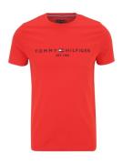 TOMMY HILFIGER Bluser & t-shirts  navy / brandrød / hvid