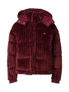 ELLESSE Overgangsjakke  neonorange / bordeaux / knaldrød / sort