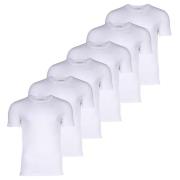 LACOSTE Bluser & t-shirts  hvid