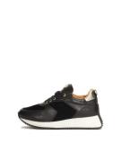 Kazar Sneaker low  antracit / sort