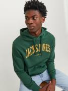 JACK & JONES Sweatshirt 'JJEJosh'  curry / jade