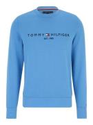 TOMMY HILFIGER Sweatshirt  natblå / himmelblå / rød / hvid