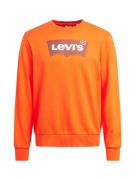 LEVI'S ® Sweatshirt 'Standard Graphic Crew'  orange