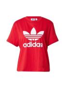 ADIDAS ORIGINALS Shirts  lys rød / hvid