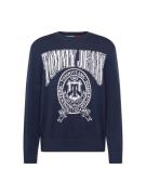 Tommy Jeans Pullover  marin / hvid