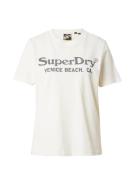 Superdry Shirts  creme / grå