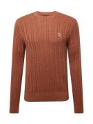 Abercrombie & Fitch Pullover 'HOLIDAY'  karamel / hvid