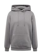 ABOUT YOU Sweatshirt 'Dian Hoodie'  antracit